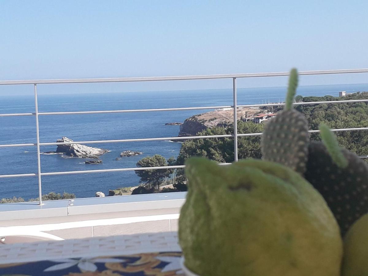 Zabbàra B&B Terrasini Kültér fotó