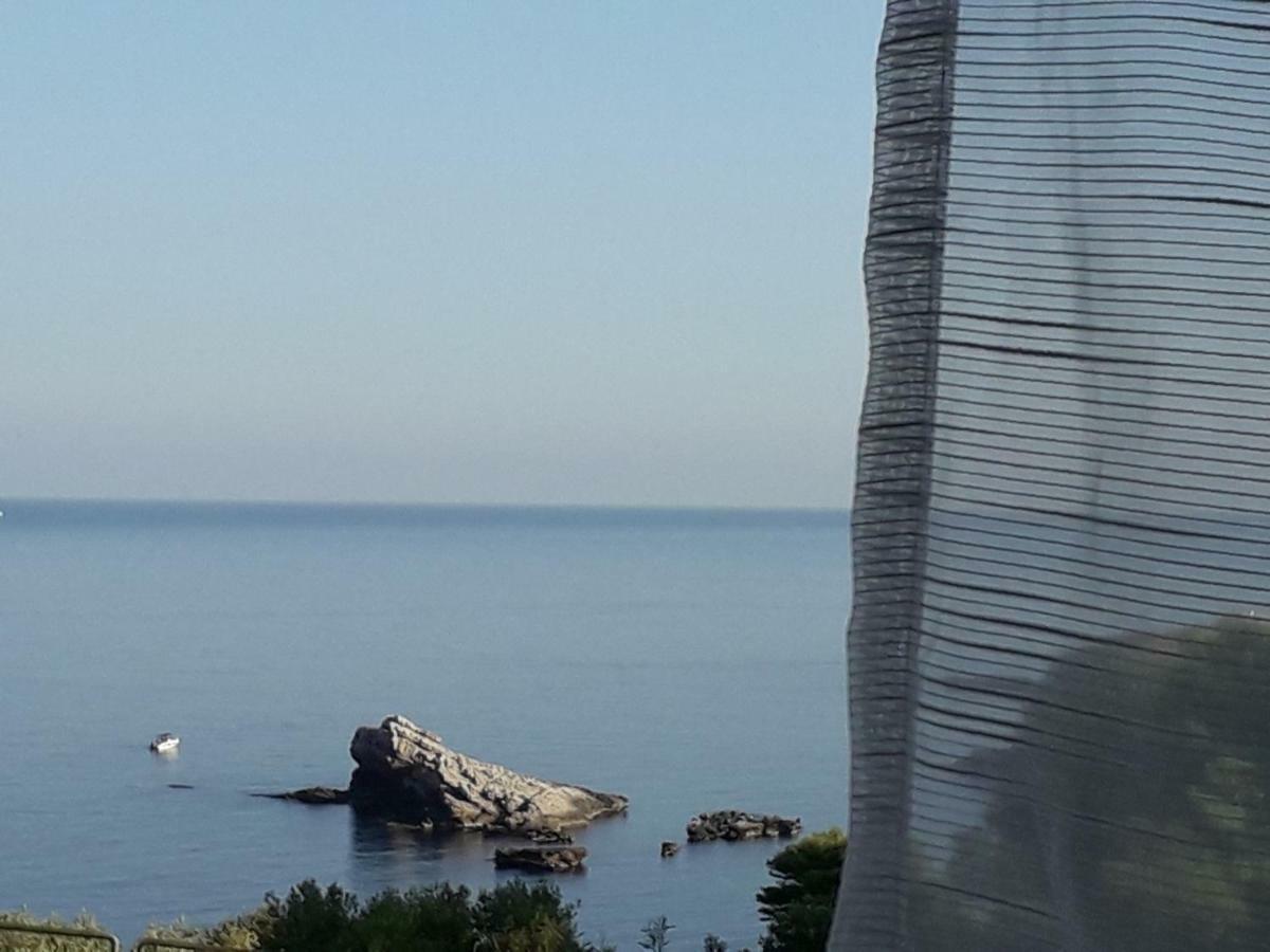 Zabbàra B&B Terrasini Kültér fotó